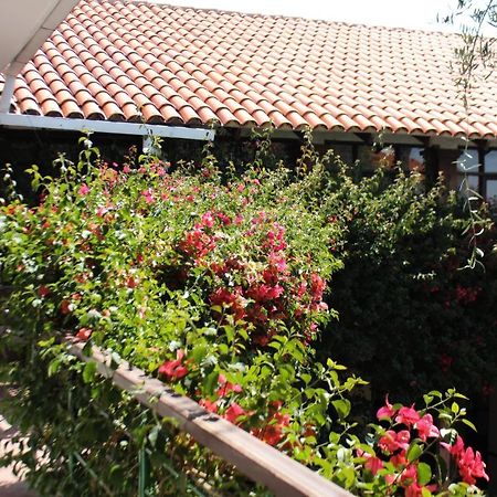 סוקרה Hostal Viejo Olivo מראה חיצוני תמונה