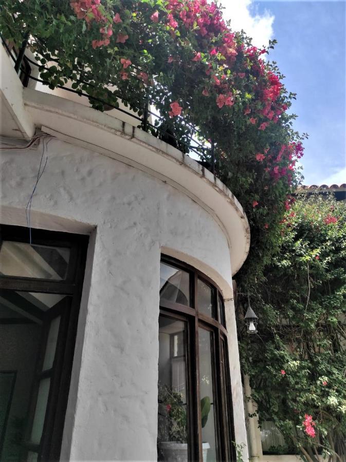 סוקרה Hostal Viejo Olivo מראה חיצוני תמונה