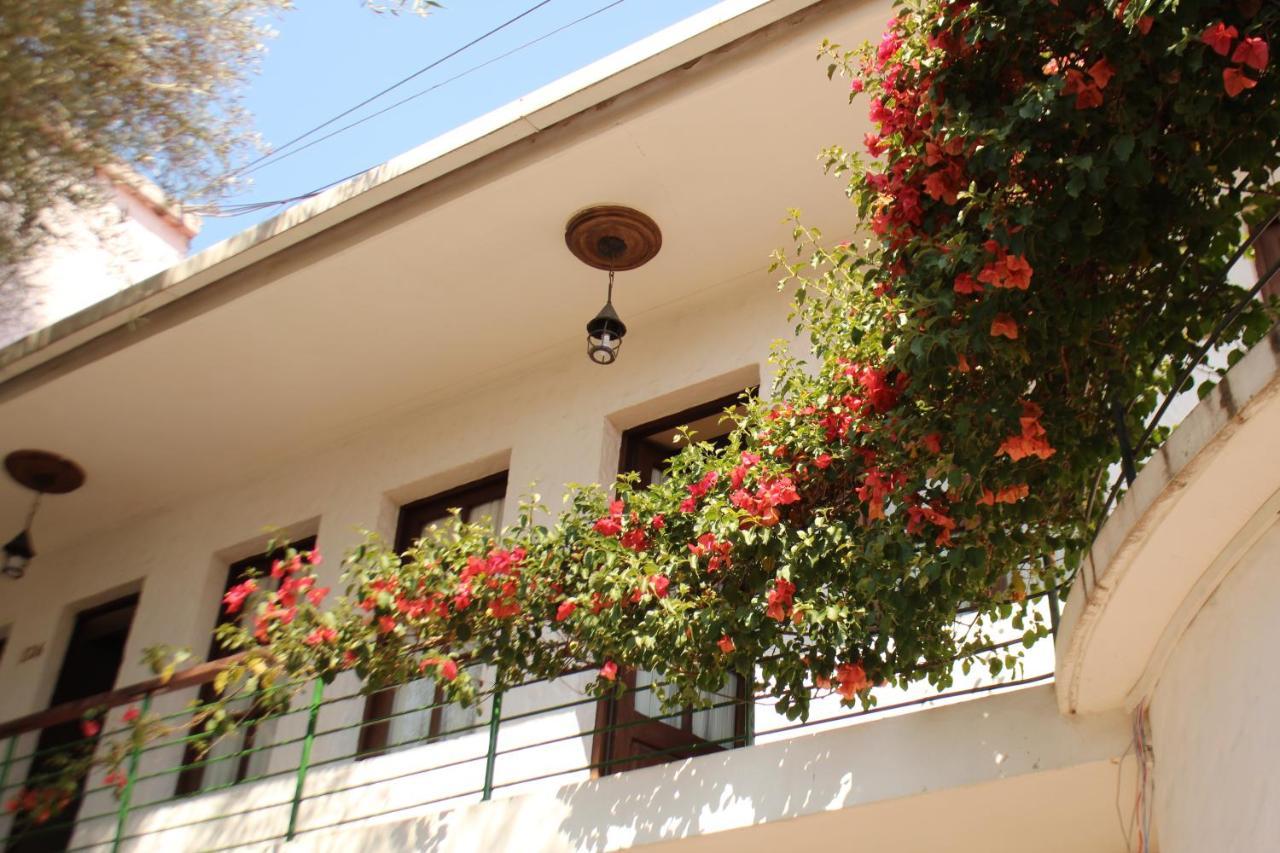 סוקרה Hostal Viejo Olivo מראה חיצוני תמונה